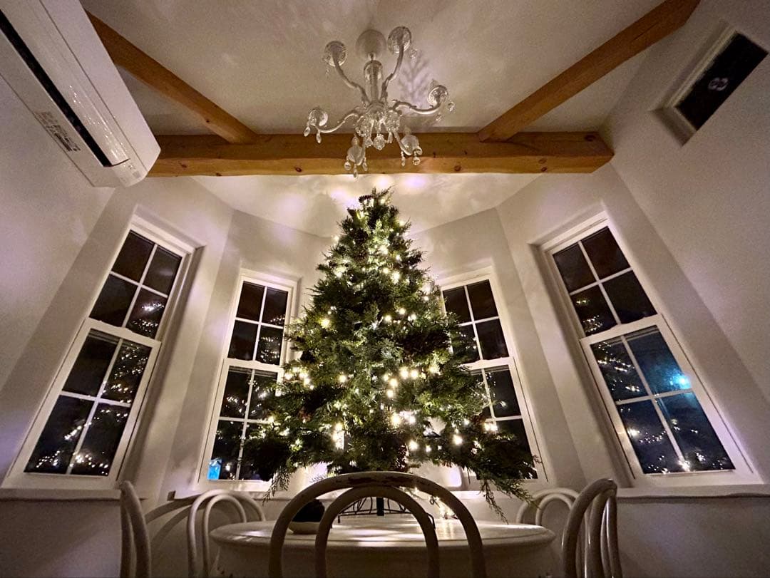 中城産業Fairy Forest Tree希少クリスマスツリー　165㎝イルミ付